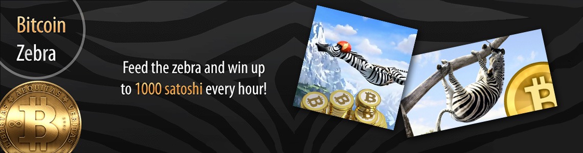 feedzebra