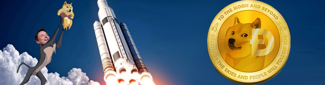 skocio dogecoin ilon musk