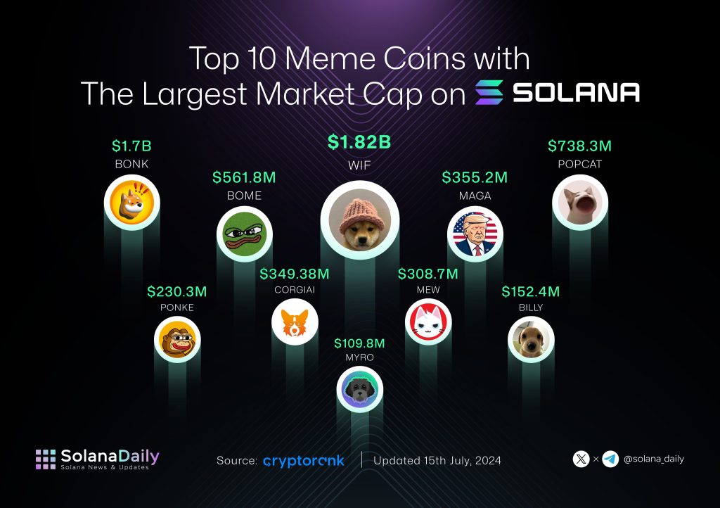 top solana meme coins